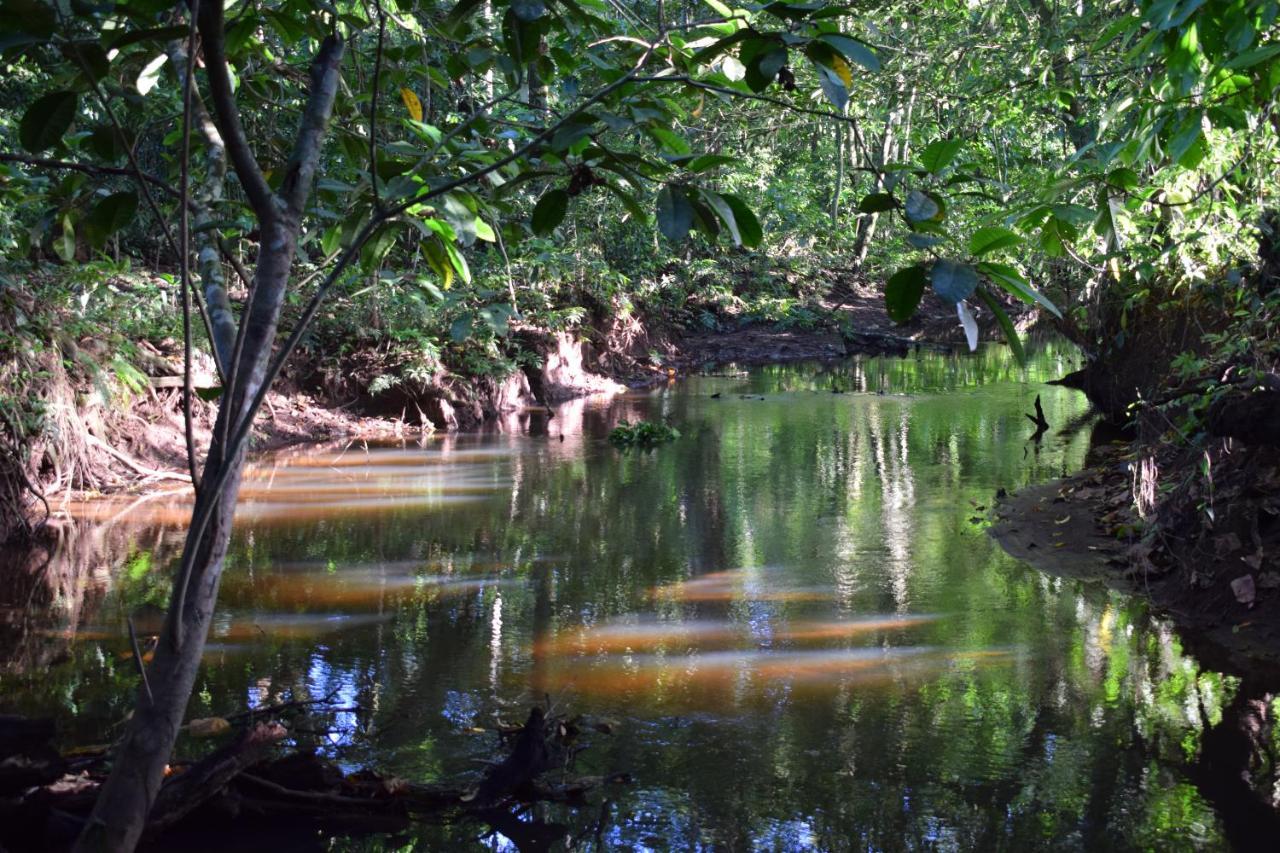 Bewak Cr Ξενοδοχείο Tortuguero Εξωτερικό φωτογραφία